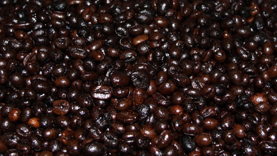 The Type of Bean