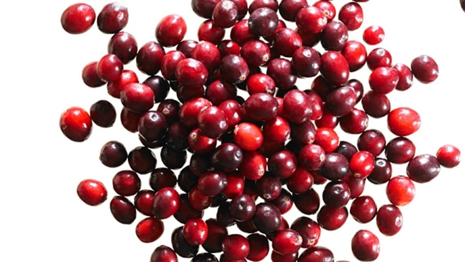 Fruit