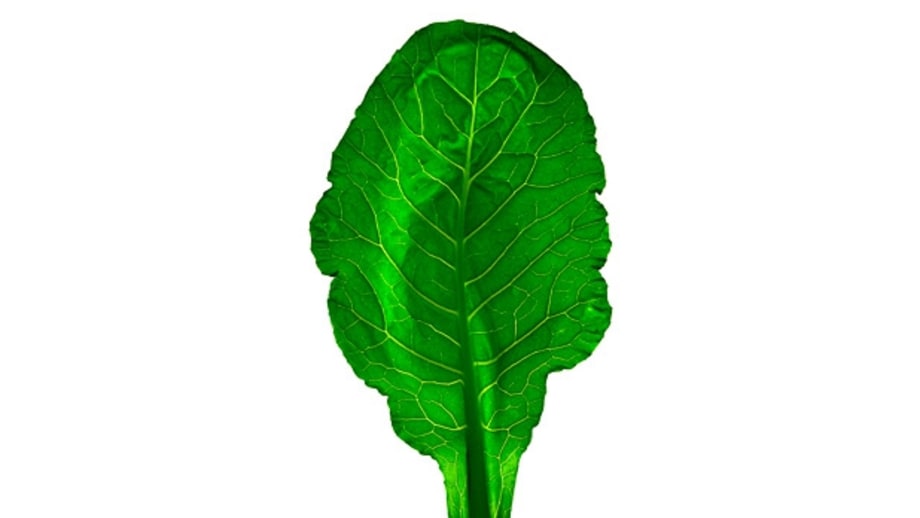 Vegetables