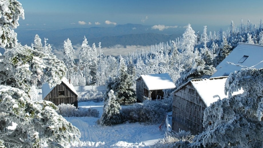 LeConte Lodge