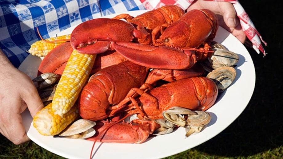 The Best of the New England Summer
