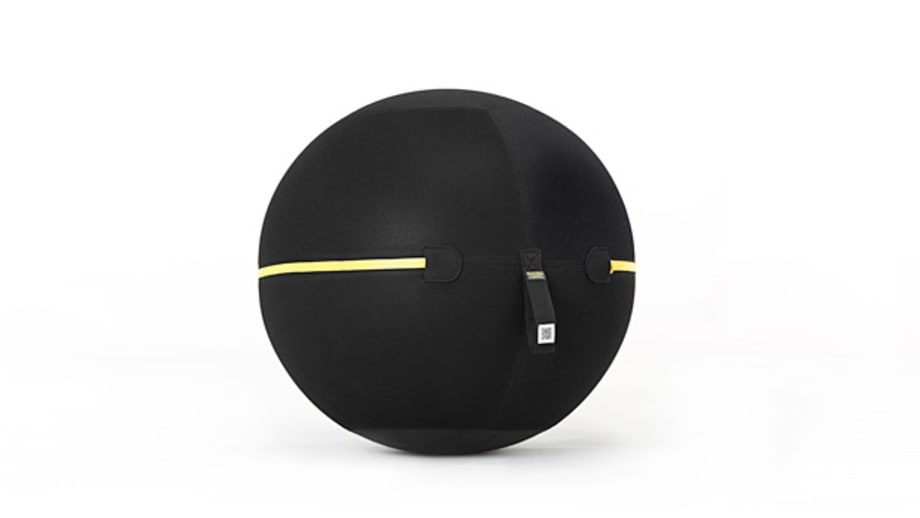 Technogym Wellness Ball
