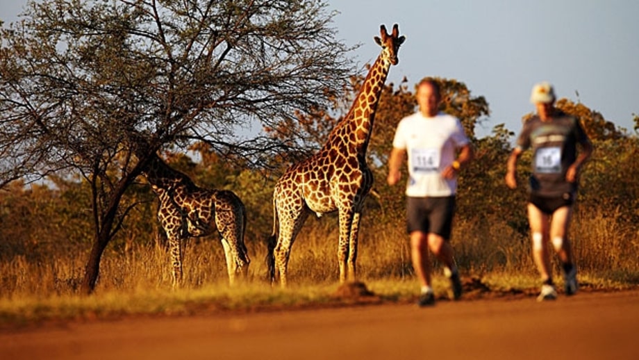 The Big Five Marathon, South Africa