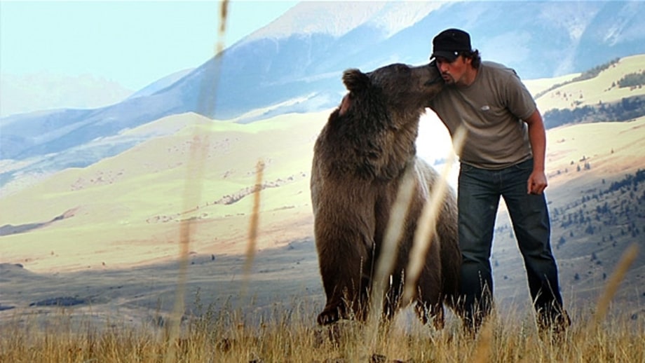 How to Prevent Animal Attacks
