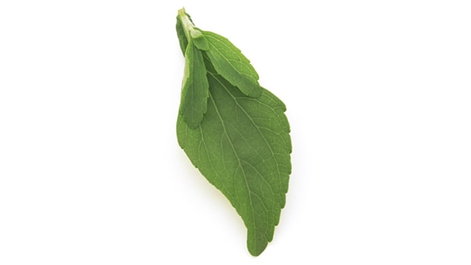 Stevia