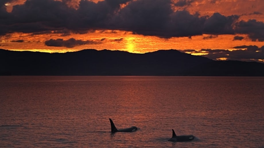 Seattle: San Juan Archipelago
