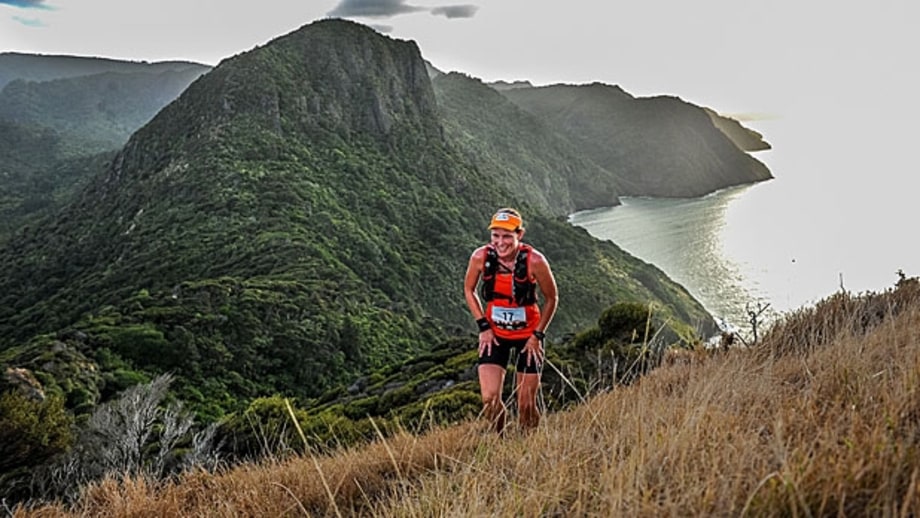 The Hillary, New Zealand
