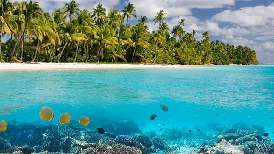 The Maldives