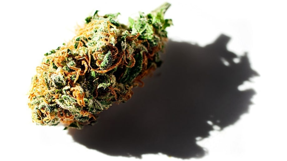 Marijuana's Possible Weight-Loss Benefits