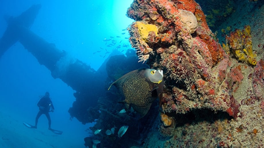 Wreck Diving