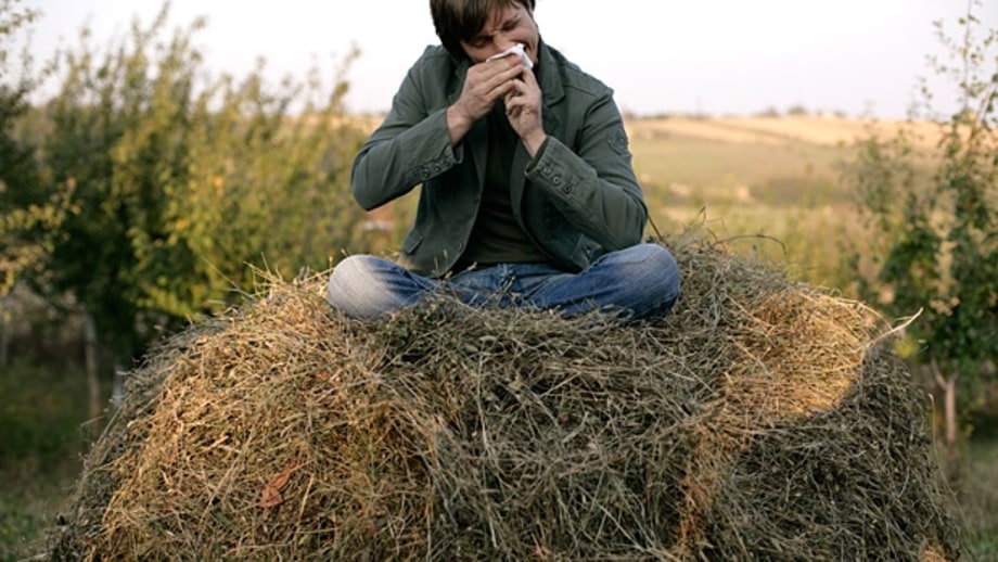 How to Get a Handle on Your Allergies