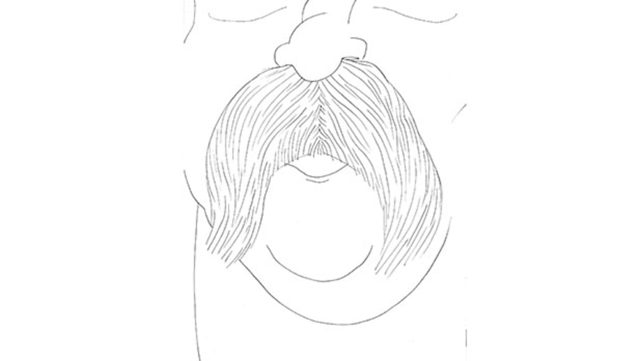 The Walrus
