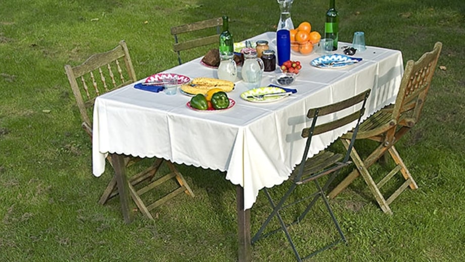 8 Tips For Throwing an Outdoor Party This Summer