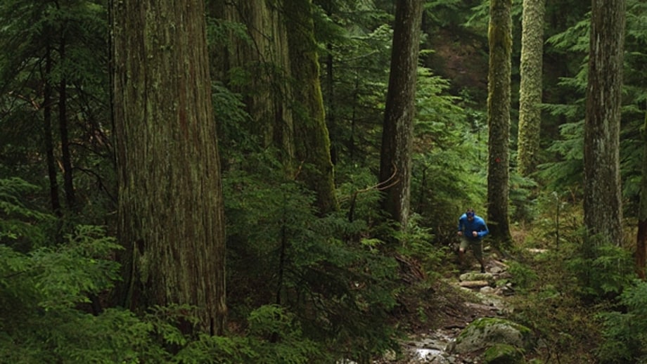 Trail Running