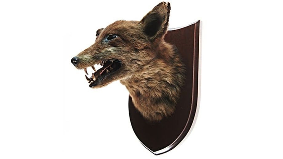 Trust your animal instinct.