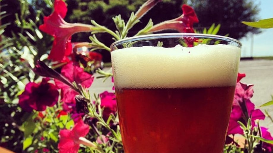 Upland Brewing Co.'s Hillwalker Saison: Bloomington, Indiana