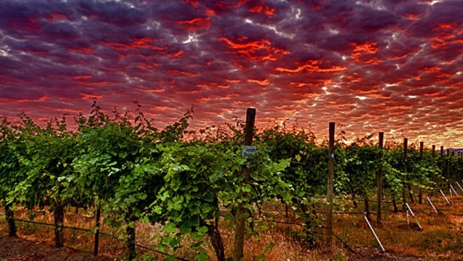 The Up 'n' Comer: Walla Walla, Washington
