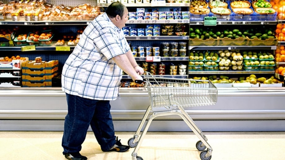 What Makes Us Fat?