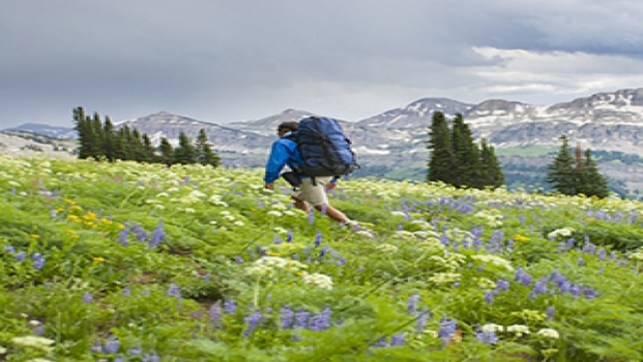 Why You Get Seasonal Allergies