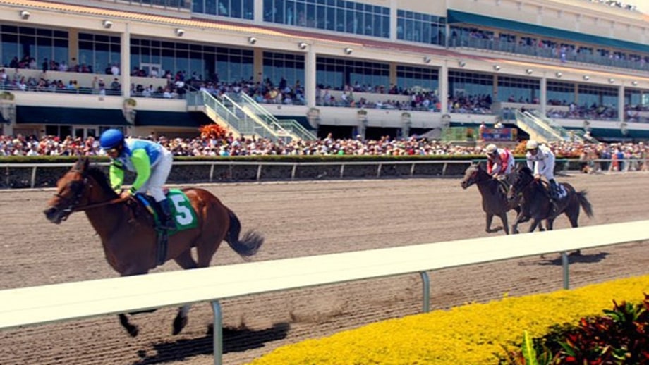 Miami: Florida Derby