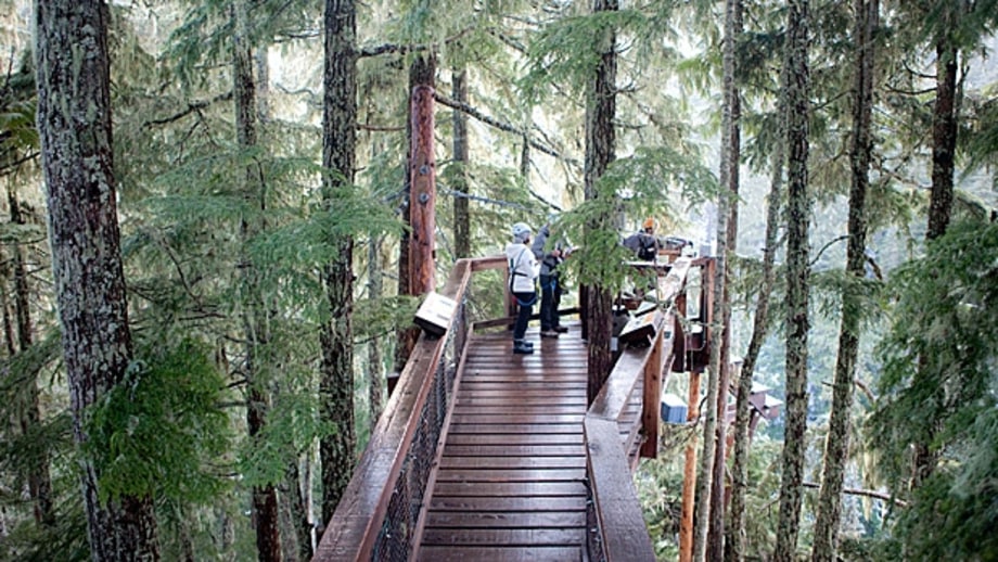 Whistler Ziptrek Ecotours, Canada
