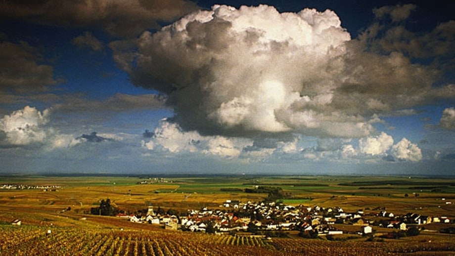 The Best Wine Tasting Tours Around the World