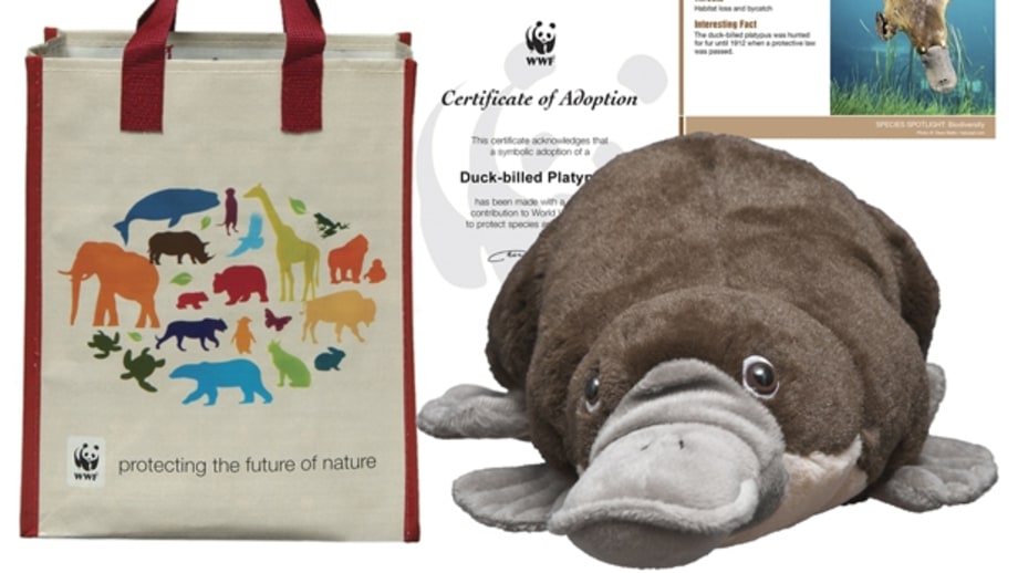 World Wildlife Fund | 25 Charitable Gifts to Help Make the World a