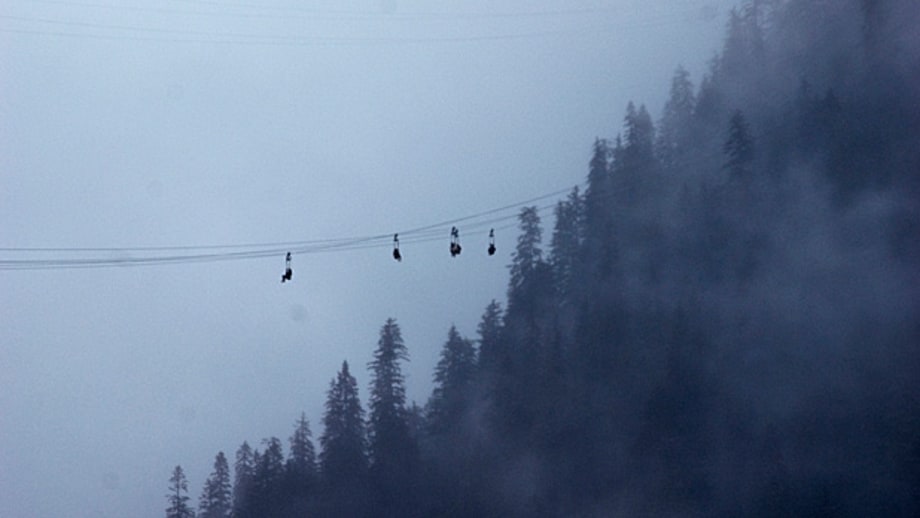 ZipRider at Icy Strait Point, Alaska