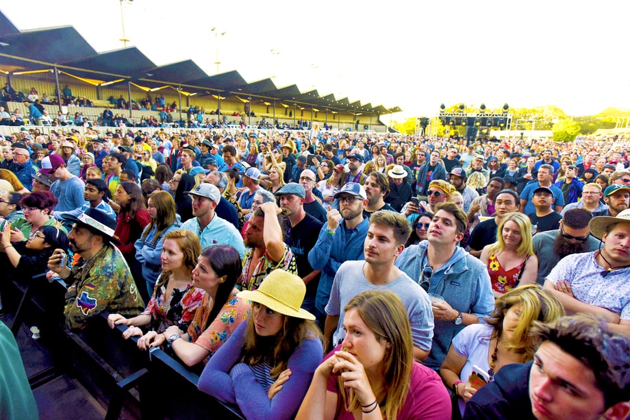 Monterey Pop Festival Audience