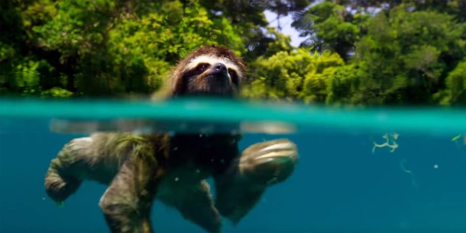 Sat 2/18: Planet Earth II (BBC America)