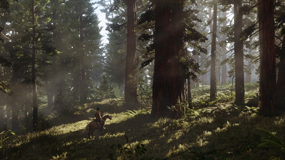 Forests Confirmed