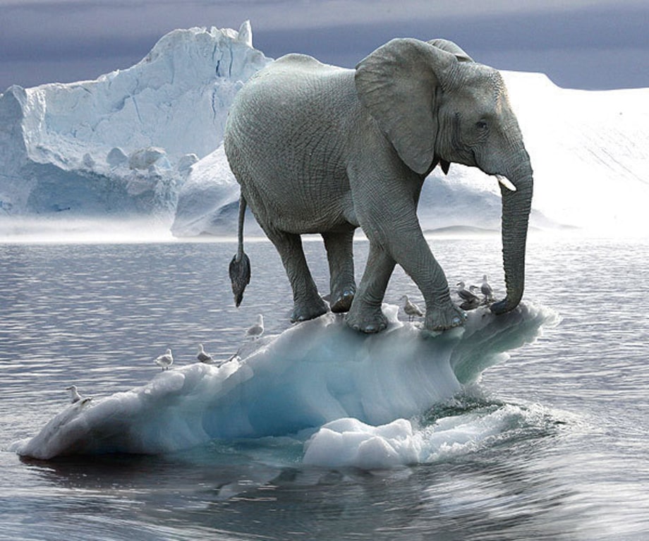 AGAINST US NEARLY HALF OF GOP FRESHMAN DON'T BELIEVE IN GLOBAL WARMING
