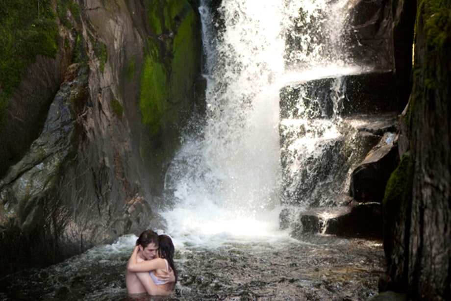 'The Twilight Saga: Breaking Dawn, Part 1'