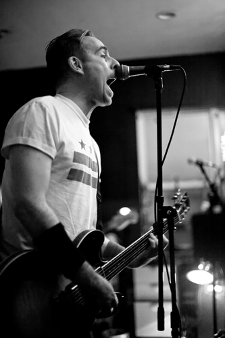 Ted Leo and the Pharmacists