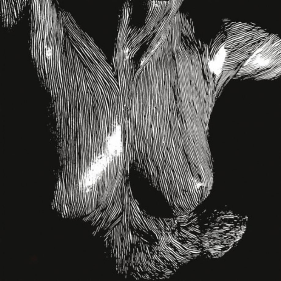 Oceansize, 'Self Preserved While the Bodies Float Up'