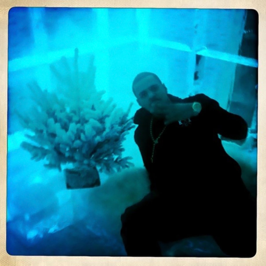 Cold as Ice