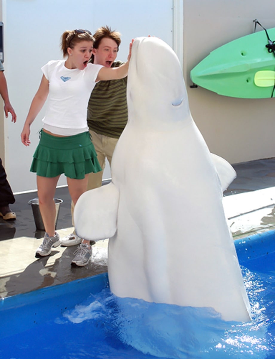 Sea World