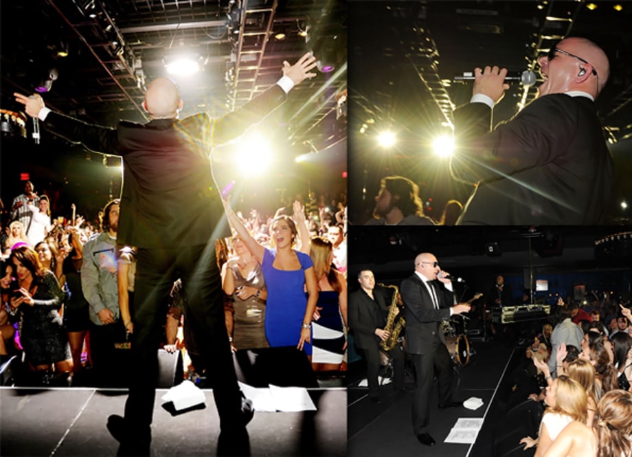 Pitbull's Birthday Celebration
