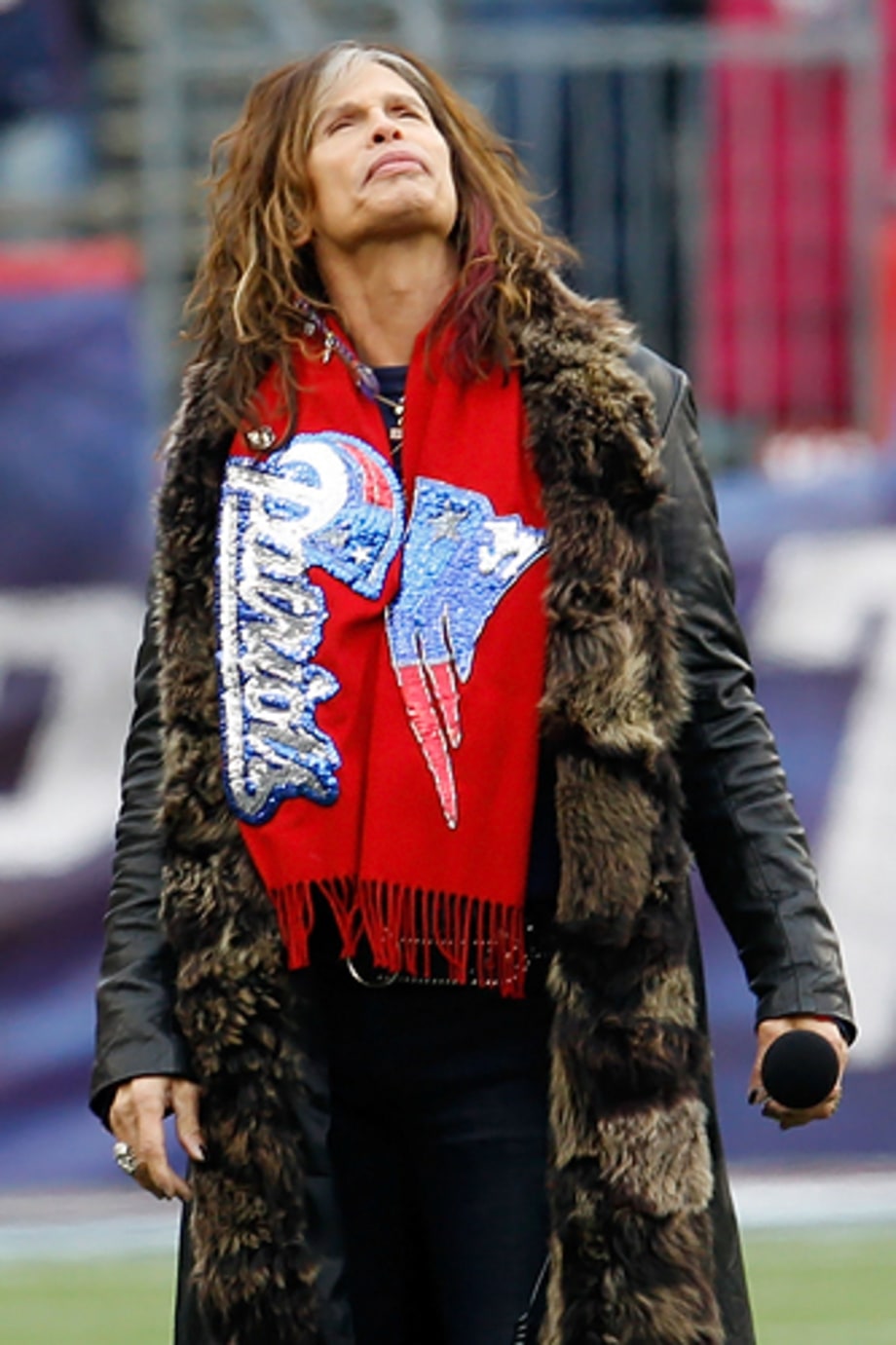 Patriots Fan: Steven Tyler