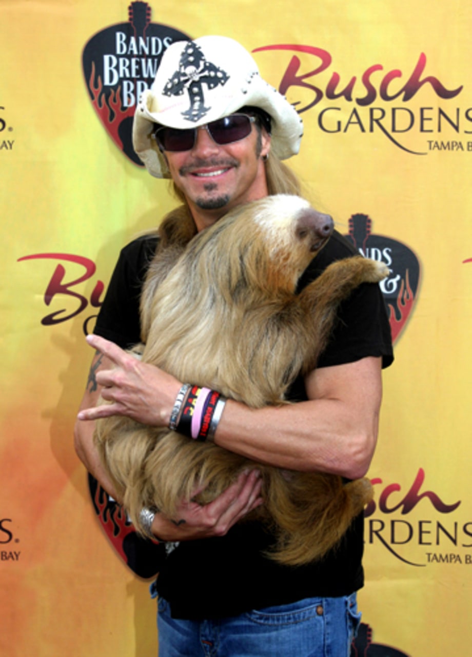 Harry The Sloth Meets Bret Michaels