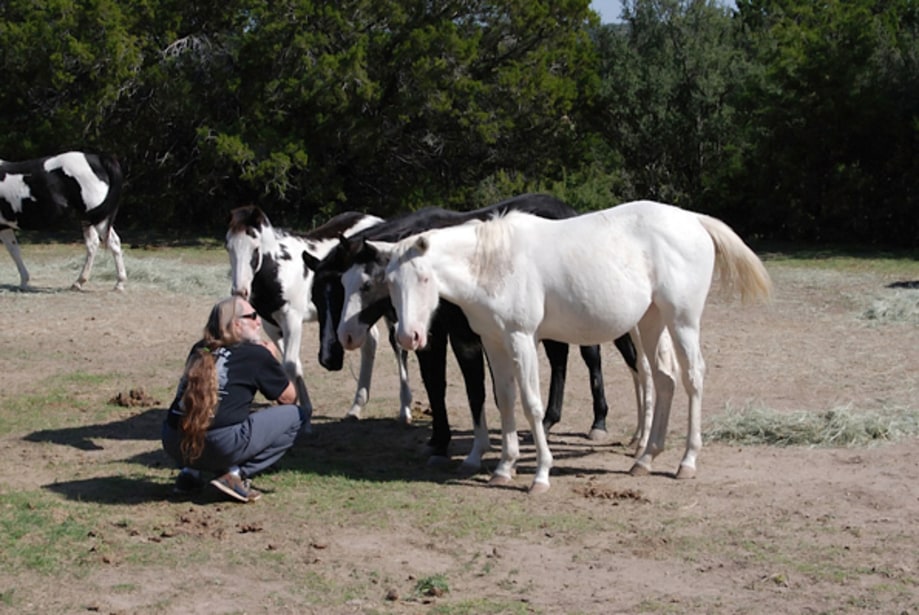 Willie Nelson, Horse Whisperer