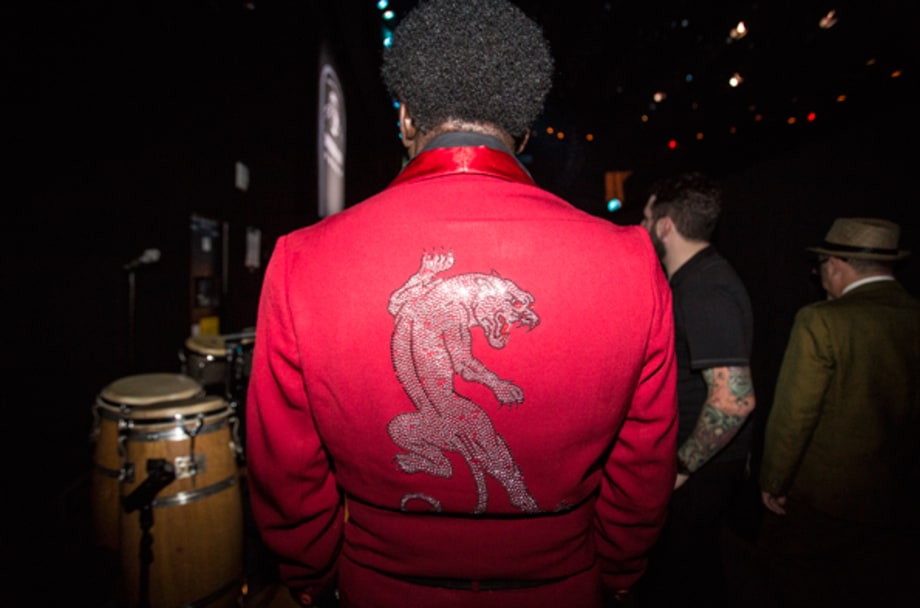 A Panther's Howl