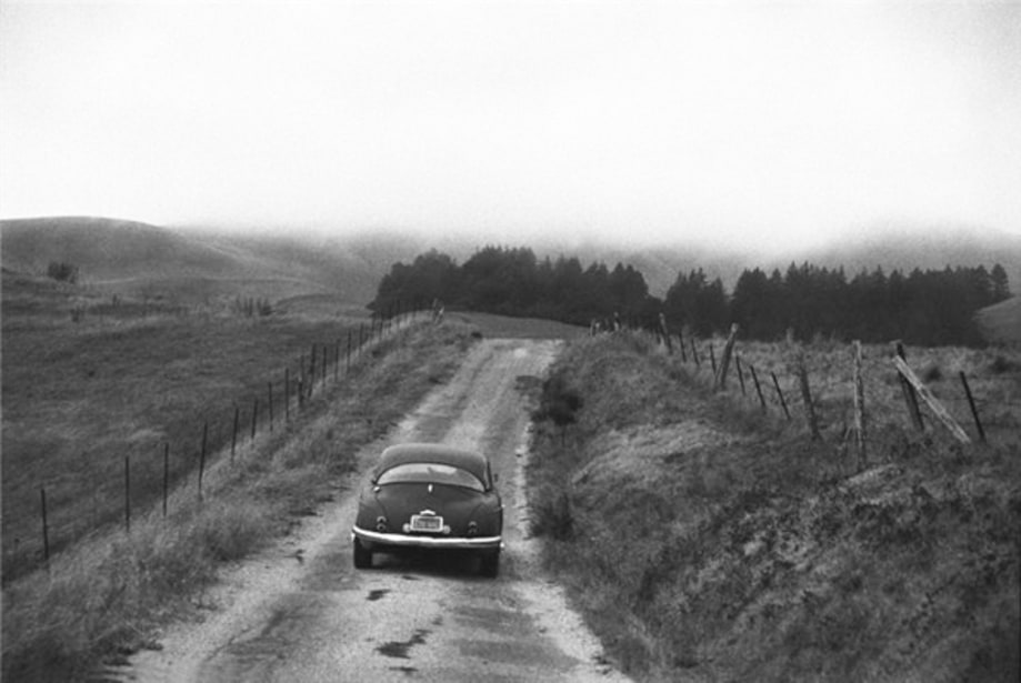 Neil Young, Northern California 1988