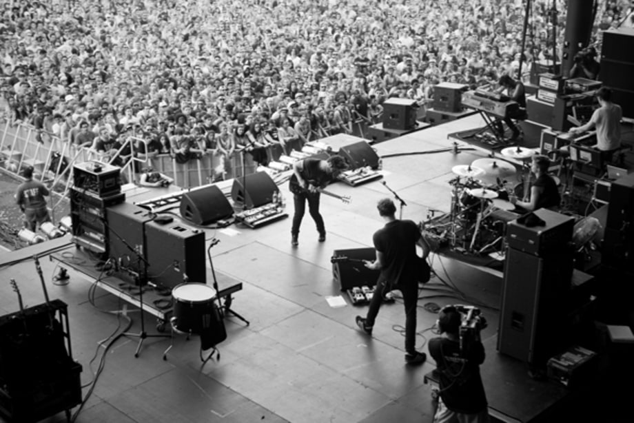Foals