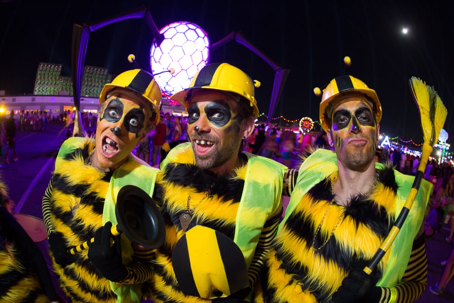 Electric Daisy Carnival