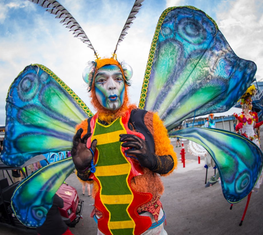 Electric Daisy Carnival