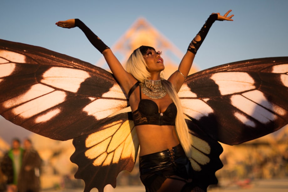 Dream of the Last Butterflies