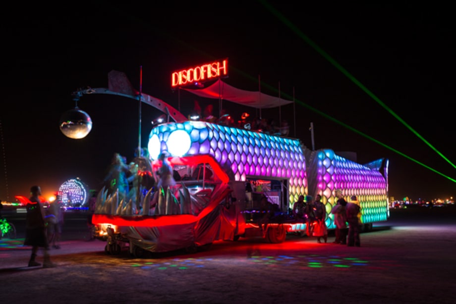 The Discofish