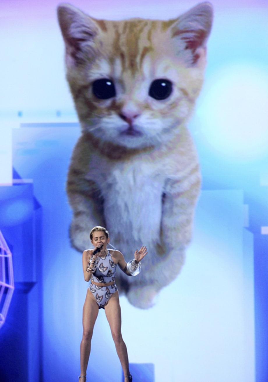 WINNER: The Cats of the Internet