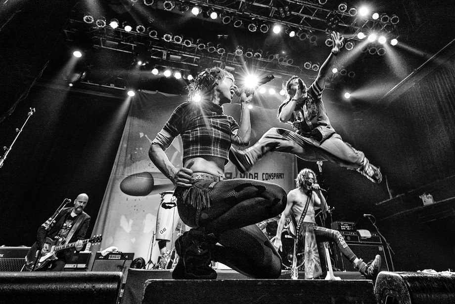 Gogol Bordello